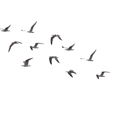 d8lhrg8 1172f332 3ac9 42d2 93a6 c2cfc42f263a Thumbnail